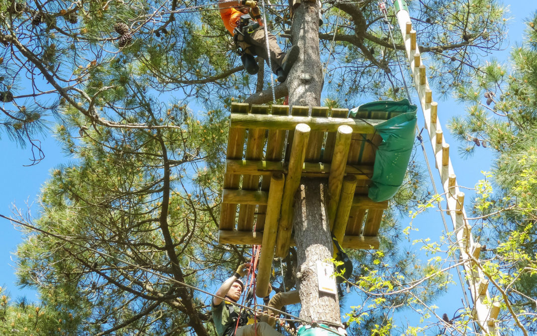 En attendant de vous revoir, nous entretenons notre belle forêt !